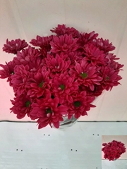 Chrysanth Spray Podolski Purple 70cm 70gr.