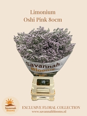 Limonium Safora Oshi Pink 80cm 40gr.