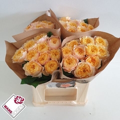 Rosa Golden Vuvuzela 40cm