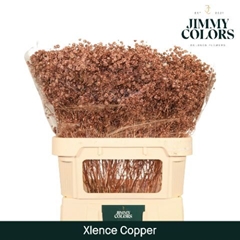 Gypsophila Painted Metallic Copper 80cm 30gr.