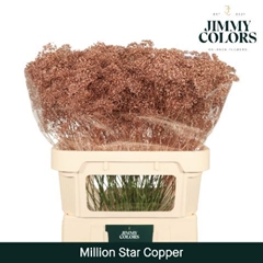 Gypsophila Painted Million Star Metallic Copper 80cm 30gr.
