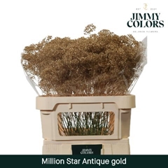 Gypsophila Painted Million Star Metallic Anti Gold 80cm 30gr.