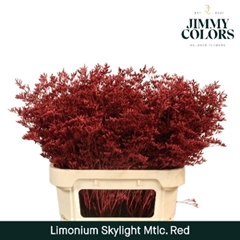 Limonium Painted Skylight Metallic Red 80cm 30gr.