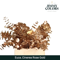 Eucalyptus Cinerea Painted Rose Gold Per Bunch 70cm 200gr.