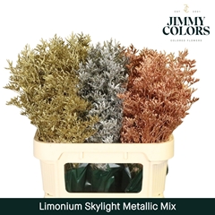 Limonium Painted Skylight Metallic Mix 80cm 30gr.