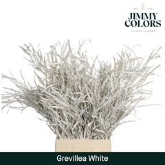 Grevillea Painted White Per Bunch 70cm