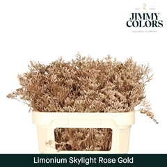 Limonium Painted Skylight Rose Gold 70cm 25gr.