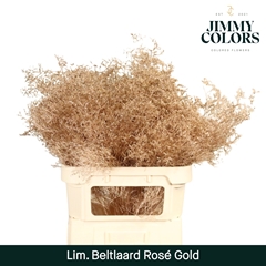 Limonium Painted Beltaard Metallic Rose Gold 90cm 50gr.