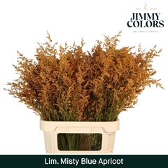 Limonium Painted Misty Blue Apricot 90cm 40gr.
