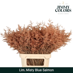Limonium Painted Misty Blue Salmon 90cm 40gr.