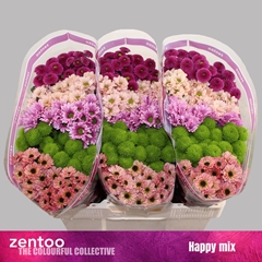 Chrysanth Santini Mix 55cm 48gr.