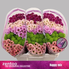 Chrysanth Santini Mix 55cm 48gr.
