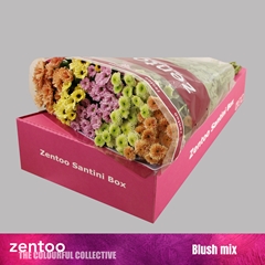 Chrysanth Santini Mix 55cm 44gr.