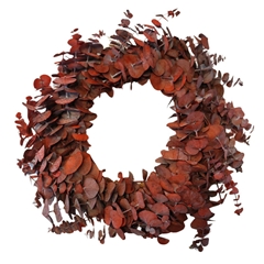Preserved Wreath D35cm Eucalyptus Baby