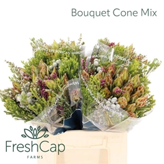 Brunia Cape Mix Bunch 40cm