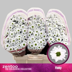Chyrsanth Santini Floky 55cm 40gr.