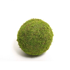 Dried Articles Moss Ball 20cm