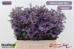 Limonium Safora Classic Blue 60cm 30gr.