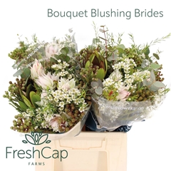 Brunia Cape Mix Bunch 40cm