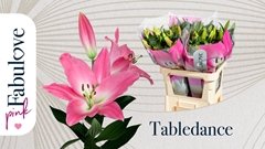 Lily Oriental Tabledance 85cm 3+
